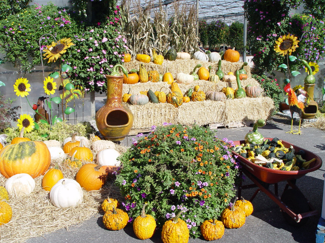Welcome to Olish Farms - Country Market and Bakery * Eastport NY 11941 ...